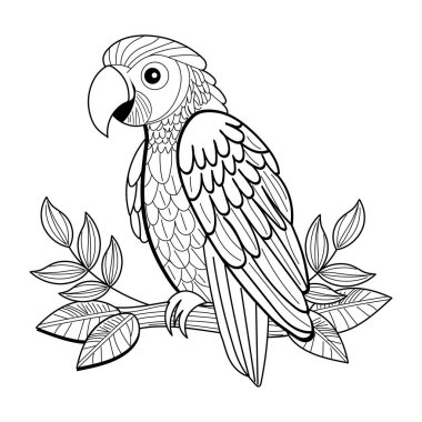 Yetişkin renklendirme için siyah ve beyaz vektör papağan boyama kitabı