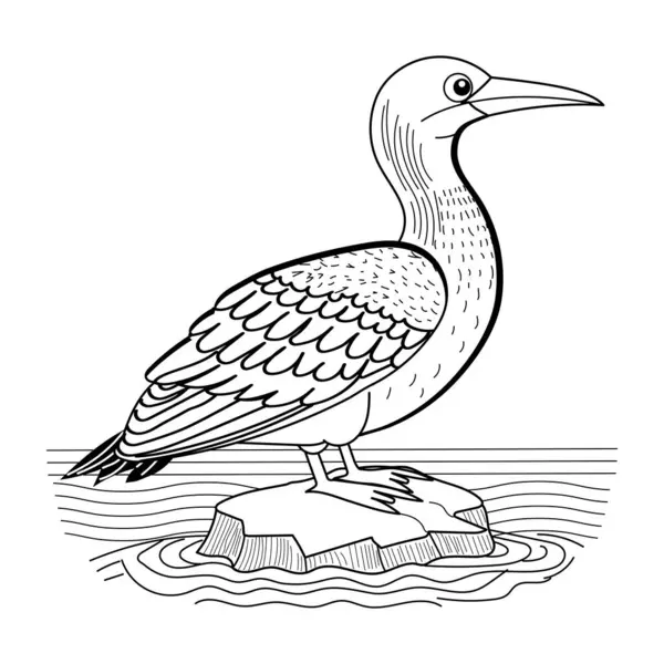 Bir martıyla boyama kitabı