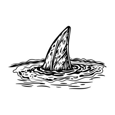 Sudaki köpekbalığı yüzgecinin klasik bir simgesi.