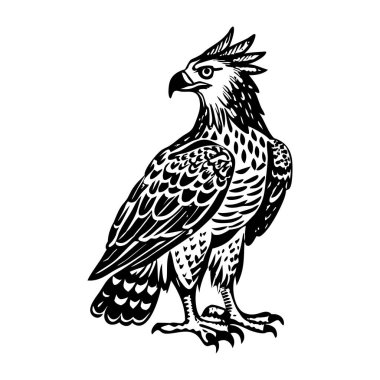 Taçlı kartalın klasik bir tasviri