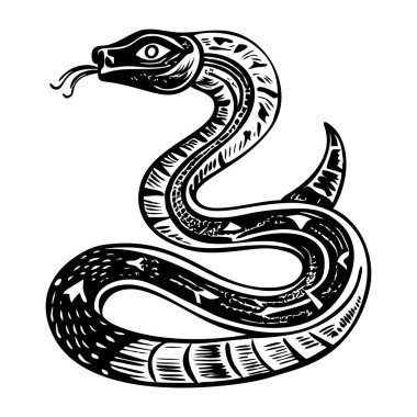 Bir yılanın klasik bir çizimi.
