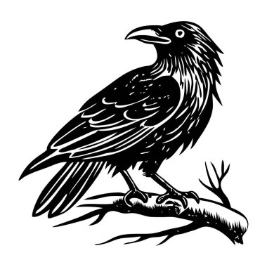 Bir karganın kabartma biçimi çizimi