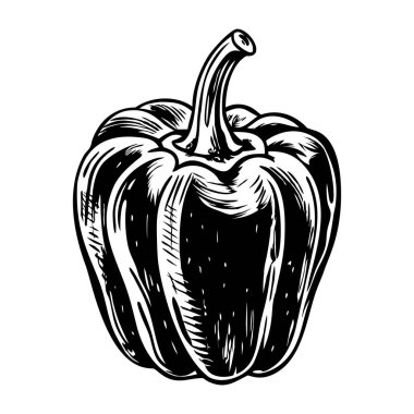 Elle çizilmiş bir dolmalık biber çizimi