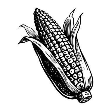 El çizimi tarzında bir mısır çizimi