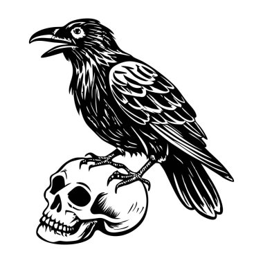 Kurukafa kuzgunu illüstrasyonları klasik tarzda