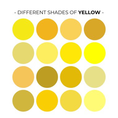 Vektör Renk Paleti Tasarım Şablonu Çok Renkli