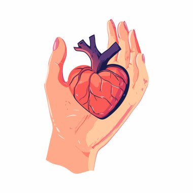 İnsan El Tutuşu Kalp Anatomisi İllüstrasyonu