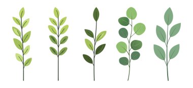 Yeşil Yapraklar Clipart Tasarım Şablonu