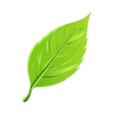 Güzel Yeşil Yaprak Tasarım Şablonu