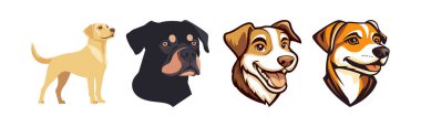 Dört Köpek Köpek Köpek Portreleri Evcil Hayvan Resimleri Puppy Resimleri