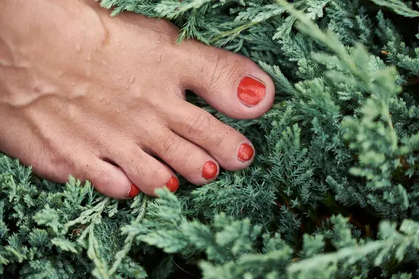 Women\'s foot in a green plant, with a do-it-yourself pedicure, and red nail polish