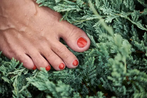 Women\'s foot in a green plant, with a do-it-yourself pedicure, and red nail polish