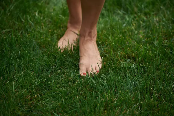 Bare female feet walking on green grass