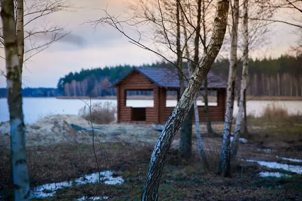 stock image Birch trees near a lake with a gazebo. November sunset.