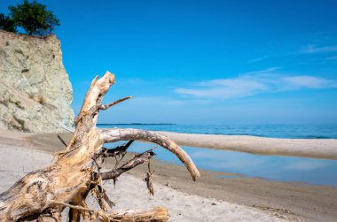 Kuru engel, nehrin kumlu kıyısında, yaz mevsiminde