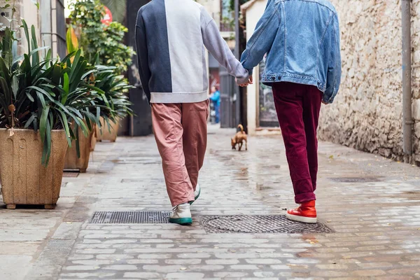 Bis Zur Unkenntlichkeit Homosexuell Männliche Paar Das Mit Seinem Hund — Stockfoto