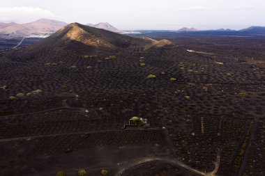 Kanarya Adaları, İspanya 'daki Lanzarote, Geria' daki yüksek kuru dağlara karşı çukurda büyüyen asmaların insansız hava aracı görüntüsü.