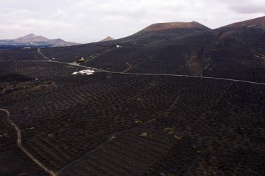 Kanarya Adaları, İspanya 'daki Lanzarote, Geria' daki yüksek kuru dağlara karşı çukurda büyüyen asmaların insansız hava aracı görüntüsü.