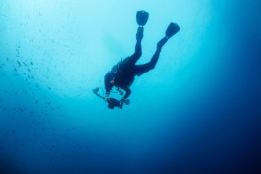 Profesyonel dalgıcın kamerasıyla fotoğraf çekerken derin mavi sularda yüzmek, sualtı fotoğrafçılığı konsepti, metin için kopyalama alanı.
