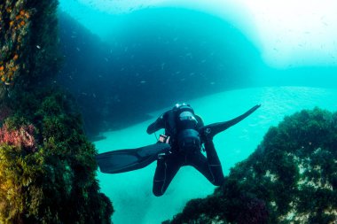 Dalgıç kıyafetli ve yüzgeçli dalgıç derin mavi okyanusun kumlu dibinde balık sürüsü, sualtı macerası konsepti ve aktif yaşam tarzı ile dalgıçlık yapıyor.