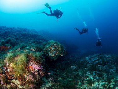 Dalgıç elbiseli üç dalgıçtan oluşan bir grup, engebeli kayalık oluşumların yakınına dalıyorlar. Yüzeyleri açık mavi denizde deniz yosunları ve mercanlarla kaplı. Temiz su, doğa anlayışı ve su altı macerası.