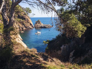 Costa Brava 'da vahşi bir körfezin yanında çam ormanı. Orada bir zevk teknesi demirlemiş. Doğa ve denizcilik konsepti.