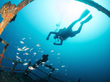 Balıkların arasına dalan dalgıç ve okyanusta batık bir geminin kalıntıları, sualtı macerası konsepti ve aktif eğlence yaşam tarzı.