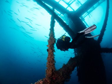 Denizde batık bir yapıya dalan dalgıç, arka planda barakuda balığı sürüsü, tüplü dalış ve sualtı yaban hayatı konsepti, metin için alan kopyalama