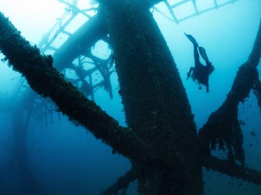Batık bir enkazın yapısına dalan dalgıç, dalış konsepti ve sualtı macerası.