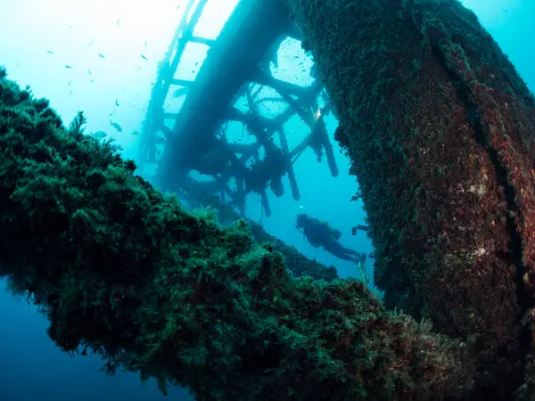 Denizdeki batık bir enkazın yapısına dalan dalgıç deniz yaşamı, tüple dalış ve sualtı macerası konsepti tarafından sömürgeleştirildi.