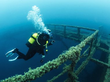 Deniz yaşamının sömürgeleştirdiği bir yapının enkazının yanında dalış yapan dalgıç. Tüplü dalış ve sualtı macerası kavramı.