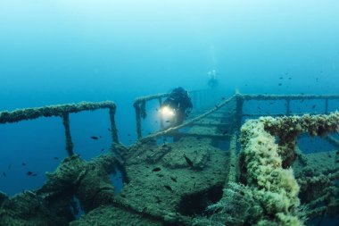Deniz yaşamının sömürgeleştirdiği bir yapının enkazına dalan dalgıç, dalış konsepti ve sualtı macerası, metin için kopyalama alanı