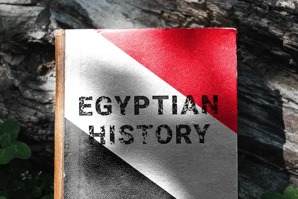 Egyptian History Book Book Cover Colors Egyptian Flag High Quality — Stock Photo, Image