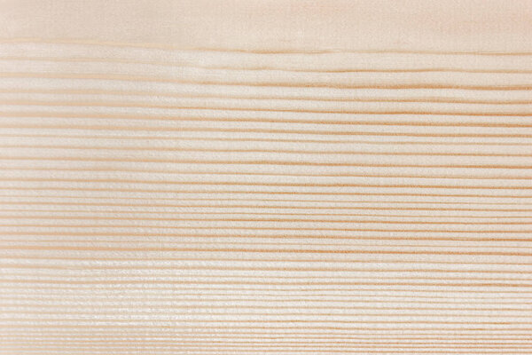 Wood fibres. Wood texture. Pine texture. Wooden surface. High quality photo
