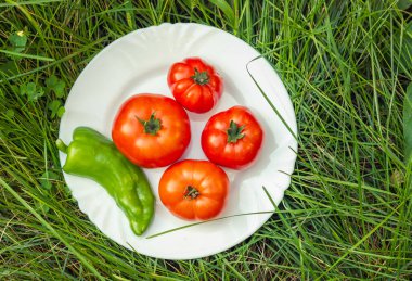 Beyaz tabakta olgun domates ve yeşil biber. Ev bahçesinden sebzeler. Yüksek kalite fotoğraf