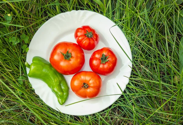 Dojrzałe Pomidory Zielona Papryka Białym Talerzu Warzywa Ogródka Wysokiej Jakości — Zdjęcie stockowe
