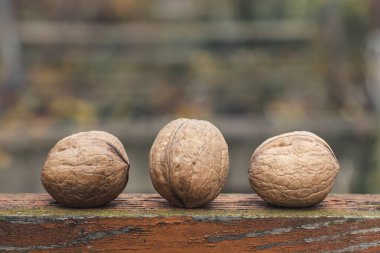 Birkaç ceviz. Cevizleri yakından çek. Yüksek kalite fotoğraf