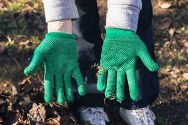 Toprağı ve kökleri dışarıda tutan yeşil bahçe eldivenleri. Yaratıcı ve ticari projeler için mükemmel.