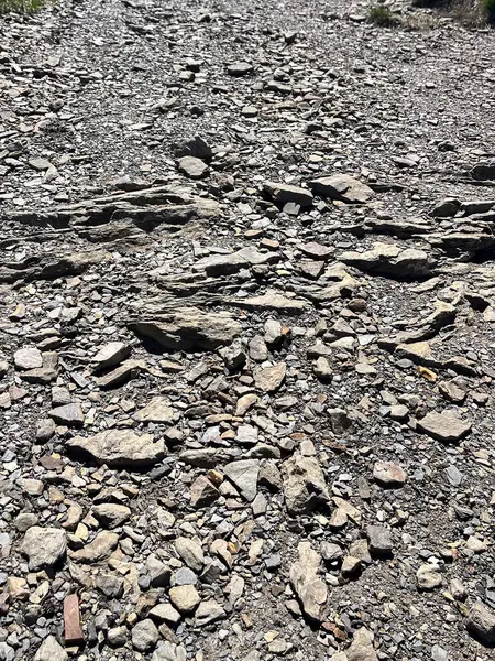 Çeşitli taşlar ve çakıl taşlarıyla kayalık arazi, ideal doku arkaplanı. Yaratıcı ve ticari kullanım için ideal