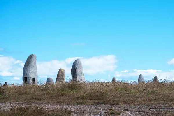 Dikilitaş parkın campo de la rata coruna, Galiçya, İspanya