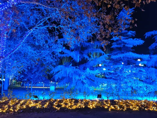 Δέντρα Φωτίζονται Μπλε Βράδυ Στη Χριστουγεννιάτικη Διακόσμηση Της Torrejon Ardoz — Φωτογραφία Αρχείου