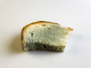 Küflü ekmeğin yüzeyi. Bozuk ekmek ve küf. Çürük ekmek kalıbı..
