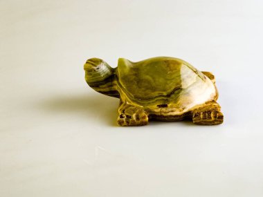 Beyaz arka planda şans getiren bir akik kaplumbağanın yakın çekimi..