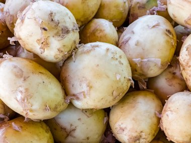 Taze taze kazılmış patateslerin geçmişi. Üst görünüm.