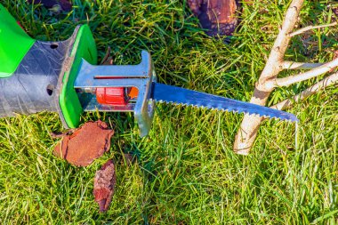 Ağaçların ve çalıların küçük dallarını kesmek için mini elektrikli testere ve kesilmiş dal çimenlerin üzerinde yatıyor.