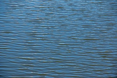 Su, dalga ve doğa çevresel göl, dalgalı nehir, sakin ve yakın çekim.