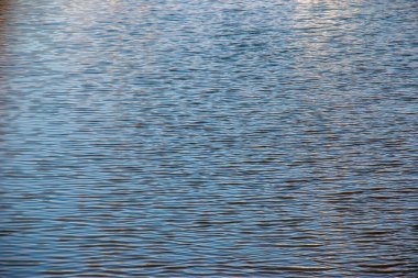 Su yüzeyi, nehir dalgaları ya da küçük dalgalı okyanus, sakin ve yakın çekim. Doğal arka plan. Soyut arkaplan.