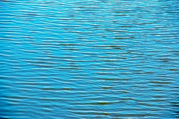 Su, dalga ve doğa ile çevre ve göl, nehir veya okyanus ile dalgalar, sakin ve yakın çekim.