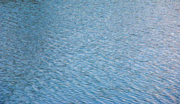 Su, dalga ve doğa ile çevre ve göl, nehir veya okyanus ile dalgalar, sakin ve yakın çekim. Doğal arkaplan.