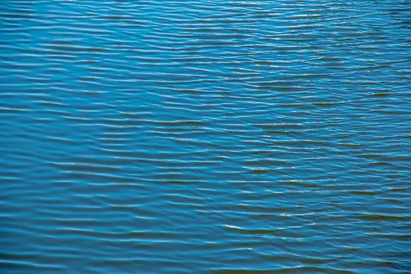 Su, dalga ve doğa ile çevre nehri ya da okyanus dalgaları, sakin ve yakın çekim.